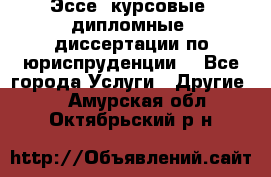 Эссе, курсовые, дипломные, диссертации по юриспруденции! - Все города Услуги » Другие   . Амурская обл.,Октябрьский р-н